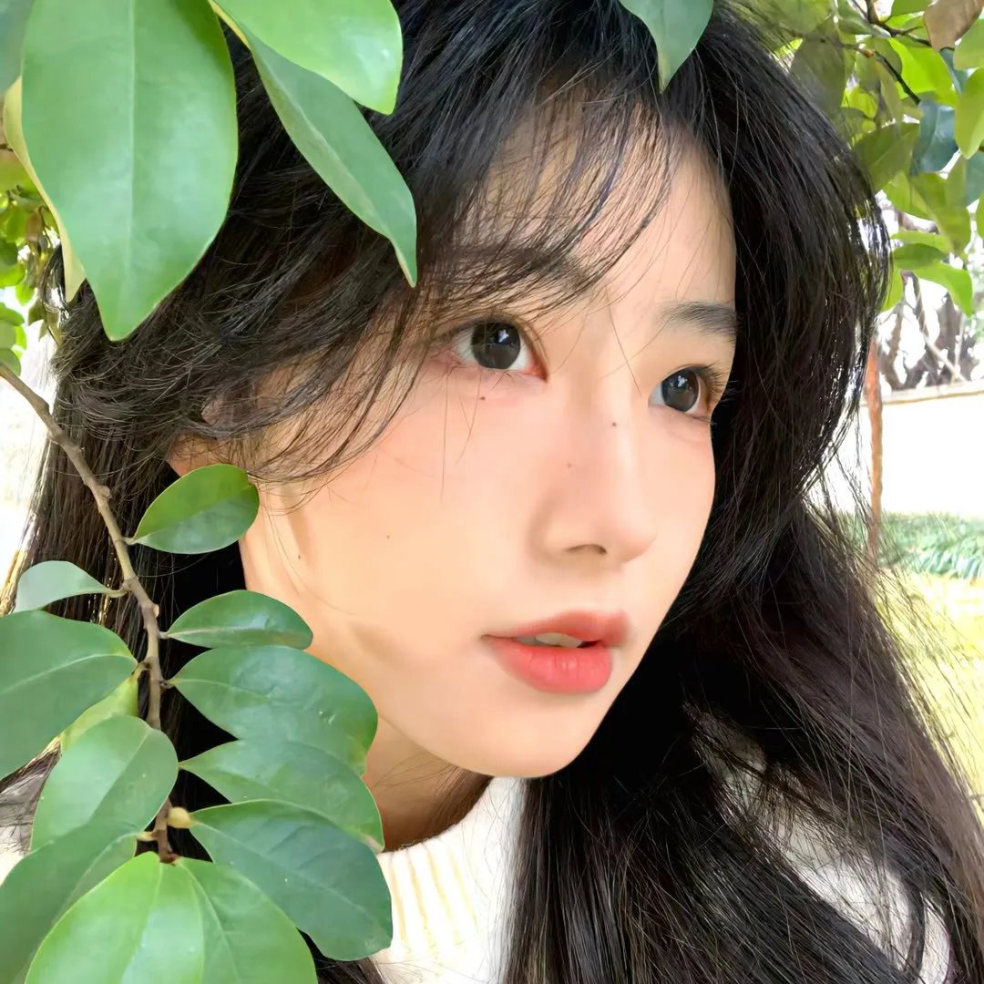 华灯初上第一季